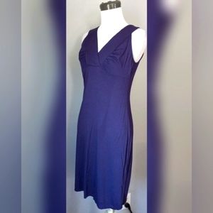 Ann Taylor Dress